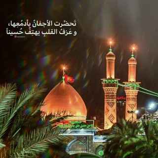 صدفهَ