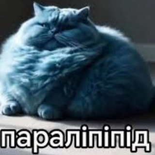 Гавнаед