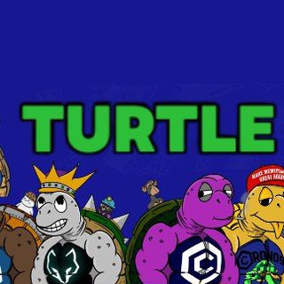 Turtle Community