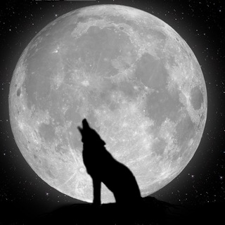 🐺 WWG 🐺 - WereWolfGame ITA