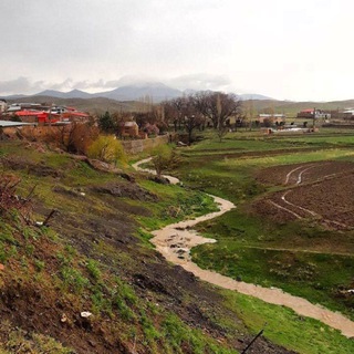 کنگران نیوز