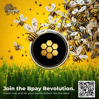 Official BPAY PROJECT ECO-SYSTEM MAIN GROUP