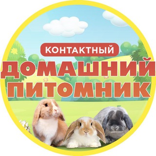 Северный Ушастик: Бот - помощник