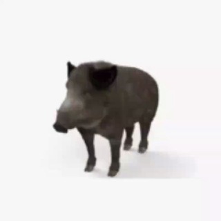 Олд Кобан🐗