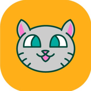 Catnip World