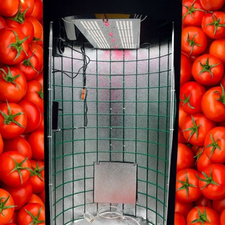 GrowTube.ru