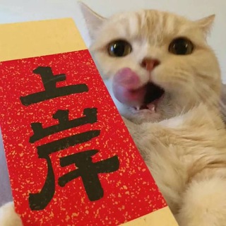 林夕