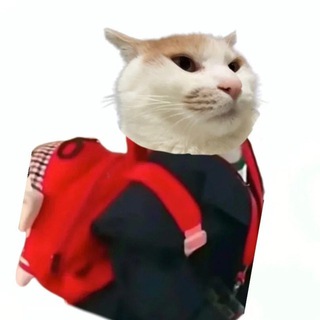 мдевкс