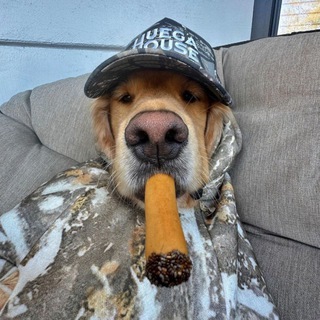 Дмитрий PR