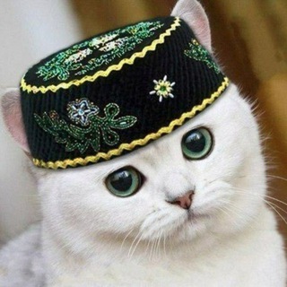 Дядя Татар