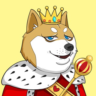 DOGE KINGDOM