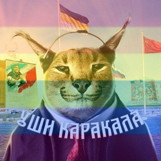 Уши Каракала 🅉🇷🇺🐍 #ВернитеДетямРадугу #ISupportKlimenko