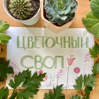 Цветочный своп БАРНАУЛ 🔆Алтайский край