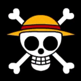 One Piece Group