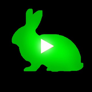White Rabbit