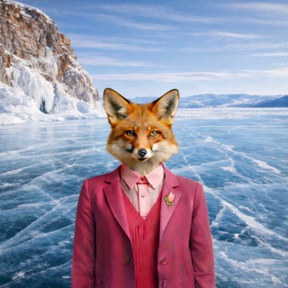 Candy Fox | менеджер