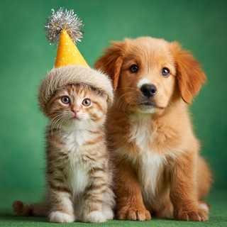 Замурчательный Мир 🐶🐈