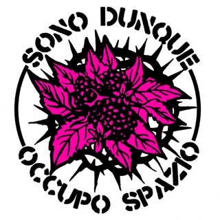 Infestazioni News