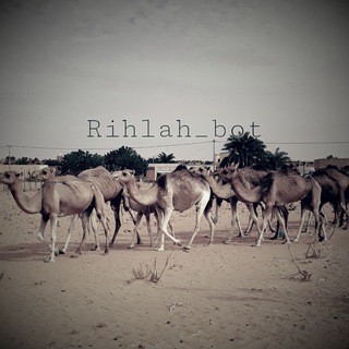Rihlah_bot