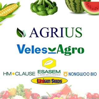 VELES AGRO ᴀɴᴅ AGRIUS group