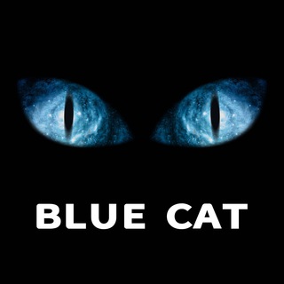 蓝猫查币