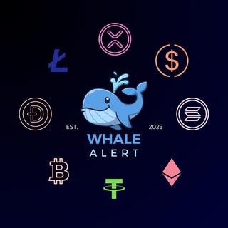 Whale Ailert | TON News