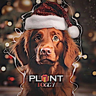 #Plantdoggy