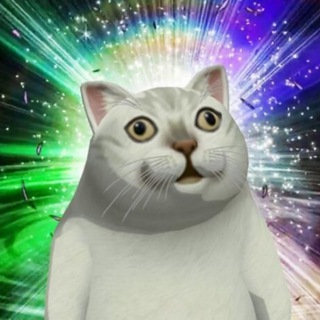 Paw家猫咪课堂