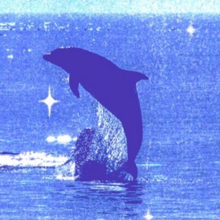Dolphin - $POD