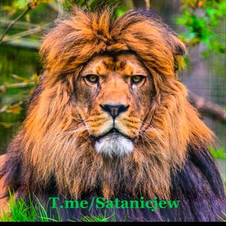 🦁Lion’s Den for Truth😎News🇵🇸Chat🤓