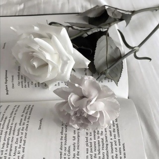 Julianna Violet📚