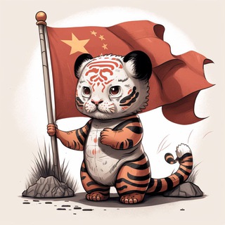 BABYBNBTIGER 币安虎官方🇨🇳中文社区