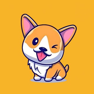 Minidoge Global CTO