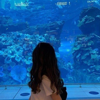 𝒢𝓊𝓁𝓃𝑜𝓏𝒶