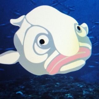 Blobfish