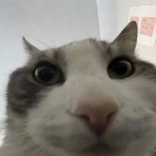 Beeson chat
