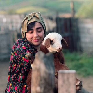 Meshkaat_art