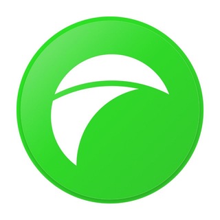 Falcon's Portfolio