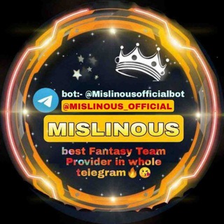 Mislinous Expert