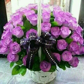 قروب الحب