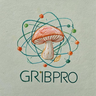 GribPro | Їжовик Мухомор Мікродозинг