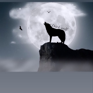 DARK 🌙WOLF☎️ CALL Chat