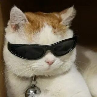 Взаимные подписки