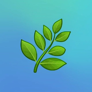 🍃Самое важное из Булочной🍃