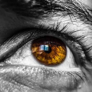 Eye Academy