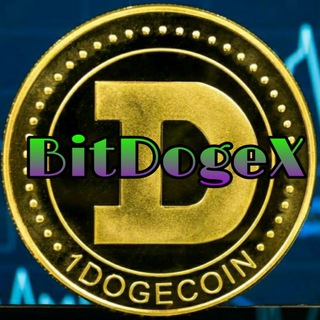 BitDogeX Payment