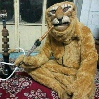 ща ща снюс вкину