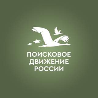 Информационный поисковый бот