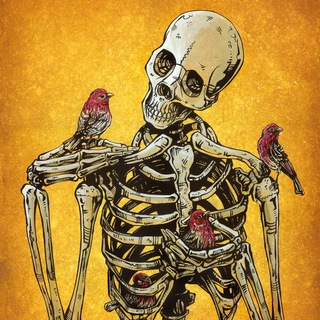 Skeleton