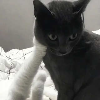 Артём